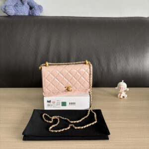 bag0962 Chanel Bag Pink