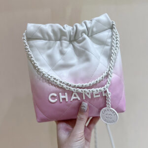 bag1002 Chanel 22 Bag