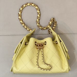 bag1033 Chanel 25 Bag