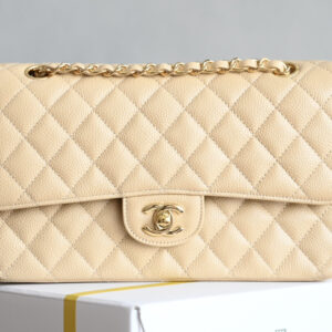 bag0004 Chanel Classic Flap Medium Apricot Gold Hardware