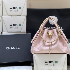 bag1120 Chanel 25 Bag