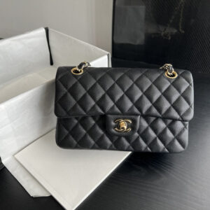 bag0008 Chanel Bag Gold Hardware