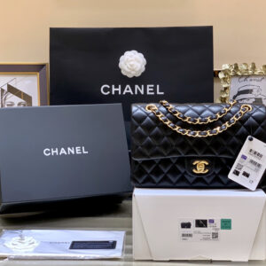 bag1124 Chanel Classic Flap Medium
