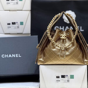 bag1131 Chanel 25 Bag