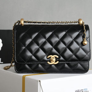 bag0019 Chanel Bag Gold Hardware