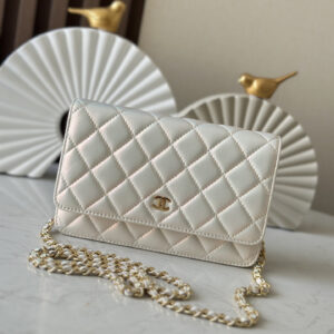 bag0021 Chanel WOC