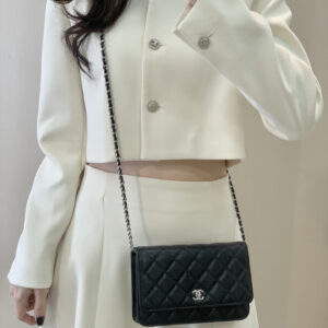 bag1399 Chanel Bag