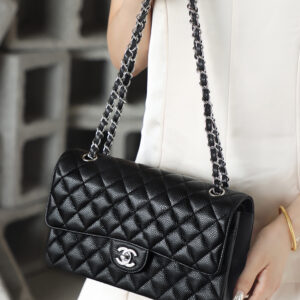 bag0043 Chanel Bag