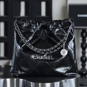 bag0048 Chanel 22 Bag Silver Hardware
