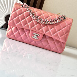 bag1524 Chanel Classic Flap Silver Hardware