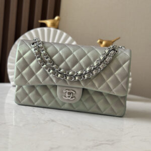 bag1538 Chanel Classic Flap Silver Silver Hardware