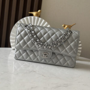 bag1539 Chanel Classic Flap Silver Silver Hardware