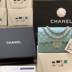 bag1606 Chanel Bag Small Champagne