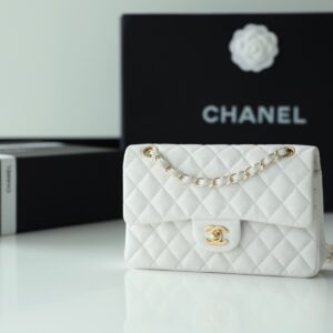 bag1609 Chanel Bag Champagne