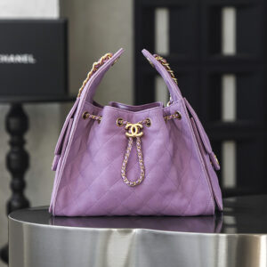 bag0061 Chanel 25 Bag Hobo Gold Hardware