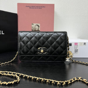 bag1707 Chanel Bag