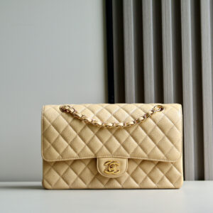 bag0071 Chanel Classic Flap Medium Apricot