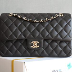 bag0081 Chanel Classic Flap Medium Silver Hardware