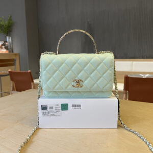 bag1876 Chanel Bag