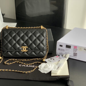 bag1999 Chanel WOC