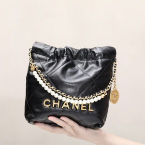 bag2009 Chanel 22 Bag