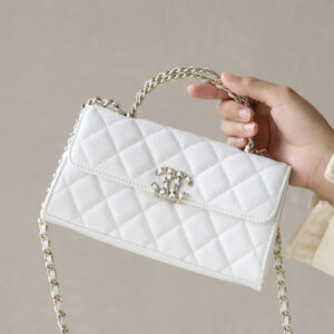 bag2011 Chanel Bag