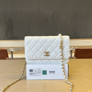 bag2048 Chanel Bag Mini