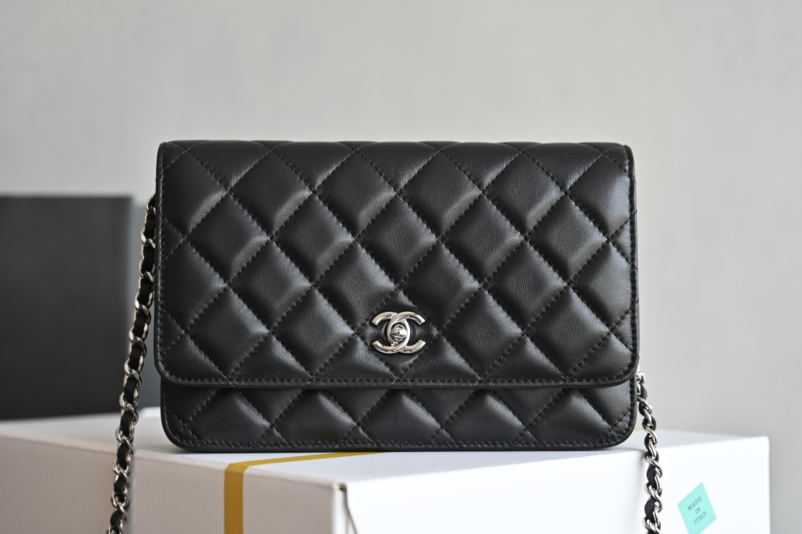bag2089 Chanel Classic Flap Silver Hardware