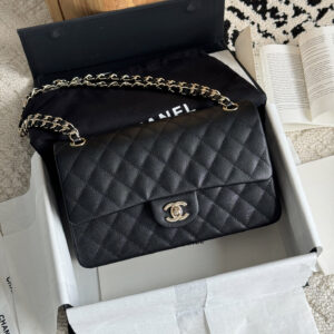 bag0113 Chanel Classic Flap Top Handle