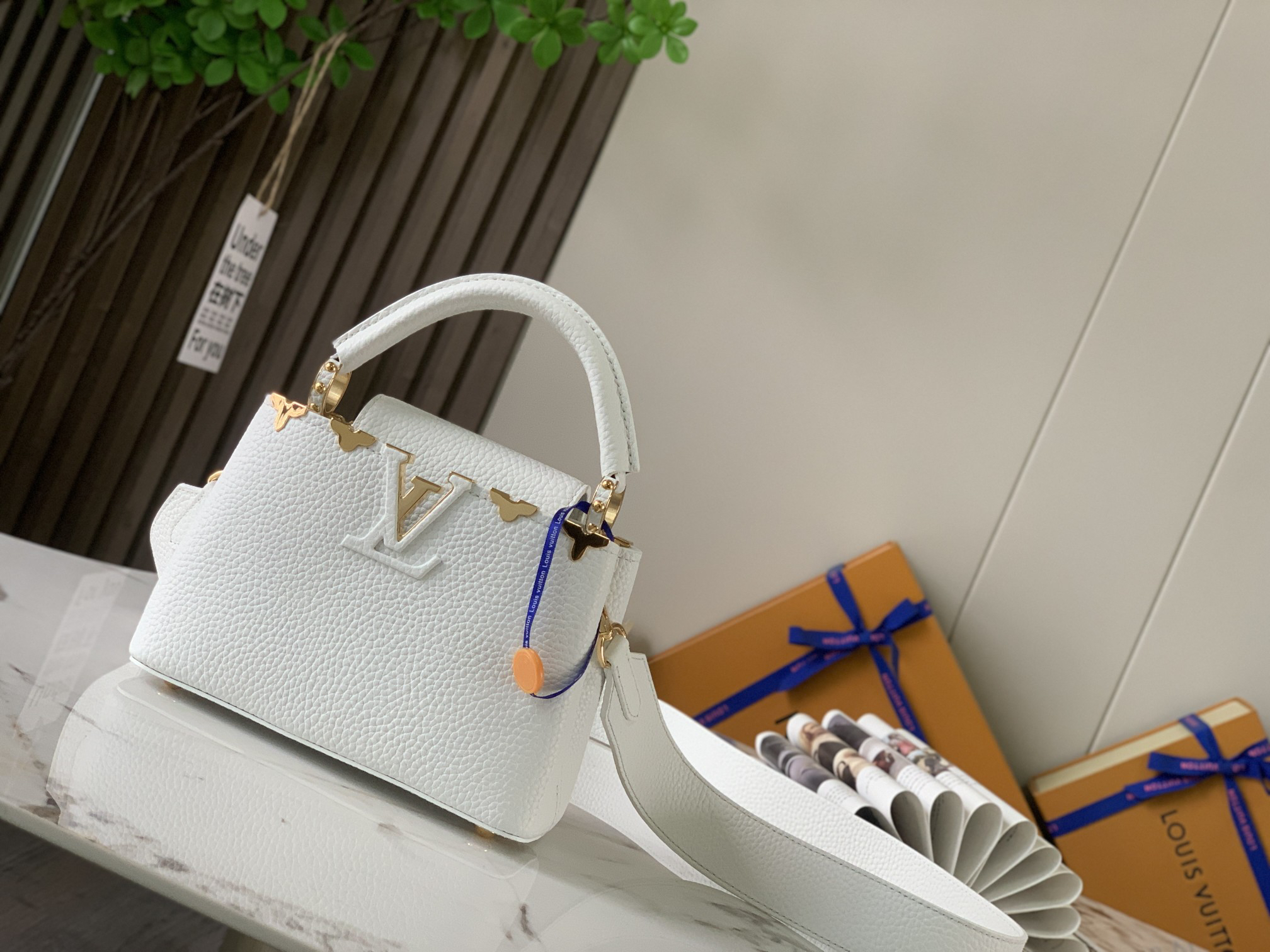 lv0097 Louis Vuitton M56669 Bag with Dynamic Code