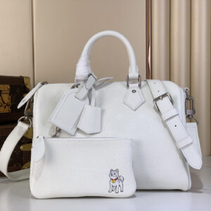 lv0269 Louis Vuitton M27144 Speedy Top Handle Bag