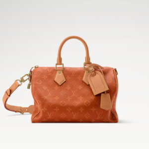 lv0270 Louis Vuitton M27977 Speedy Bandouliere Top Handle Bag