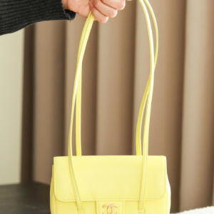 bag0151 Chanel Bag