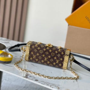 lv0811 Louis Vuitton vanity Vanity Bag with Dynamic Code