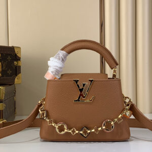 lv1069 Louis Vuitton M14381 M14970 M14971 M1497 CAPUCINES Accessory Mini