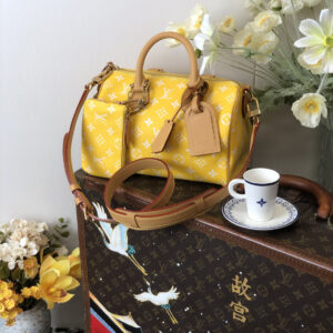 lv1186 Louis Vuitton M24428 Top Handle Bag with Dynamic Code