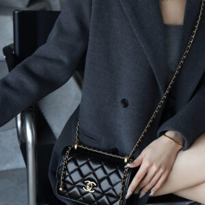 bag0231 Chanel Bag