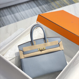 hm0529 Hermes Birkin Top Handle Bag Gold Hardware