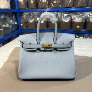 hm0535 Hermes Birkin Top Handle Bag Gold Hardware
