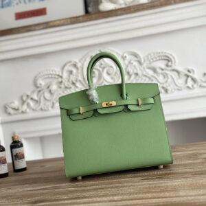 hm0538 Hermes Birkin Top Handle Bag Gold Hardware