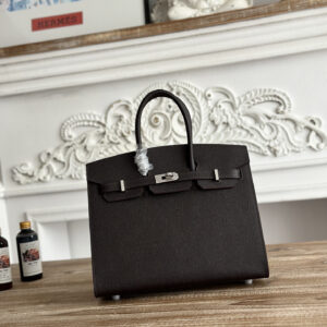 hm0542 Hermes Birkin Top Handle Bag Silver Hardware