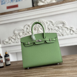 hm0543 Hermes Birkin Top Handle Bag Silver Hardware