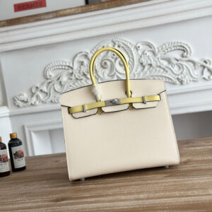 hm0554 Hermes Birkin Top Handle Bag Milkshake White Multicolor White Silver Hardware