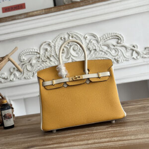 hm0561 Hermes Birkin Top Handle Bag Milkshake White White Yellow Gold Hardware