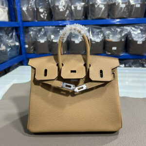 hm0570 Hermes Birkin Top Handle Bag Milk Tea Milk Tea