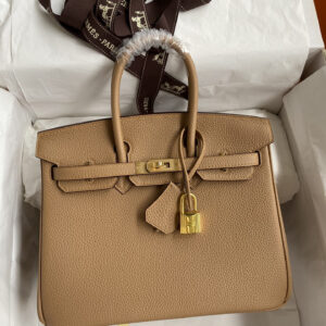 hm0571 Hermes Birkin Top Handle Bag Milk Tea Milk Tea Gold Hardware