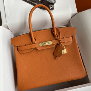 hm0577 Hermes Birkin Top Handle Bag Orange Gold Hardware