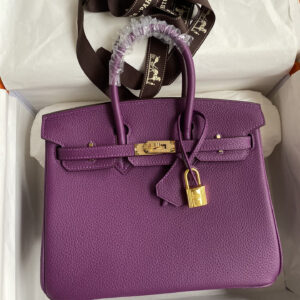 hm0595 Hermes Birkin Top Handle Bag Purple Gold Hardware