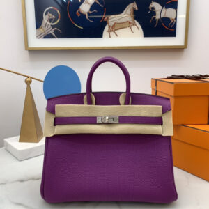 hm0596 Hermes Birkin Top Handle Bag Purple Silver Hardware