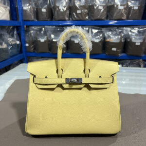 hm0629 Hermes Birkin Top Handle Bag Yellow Silver Hardware
